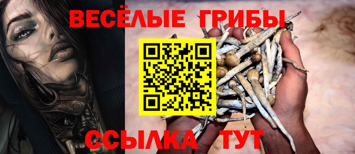 Торжок  Галлюциногенные грибы мухоморы  Вход с VPN 